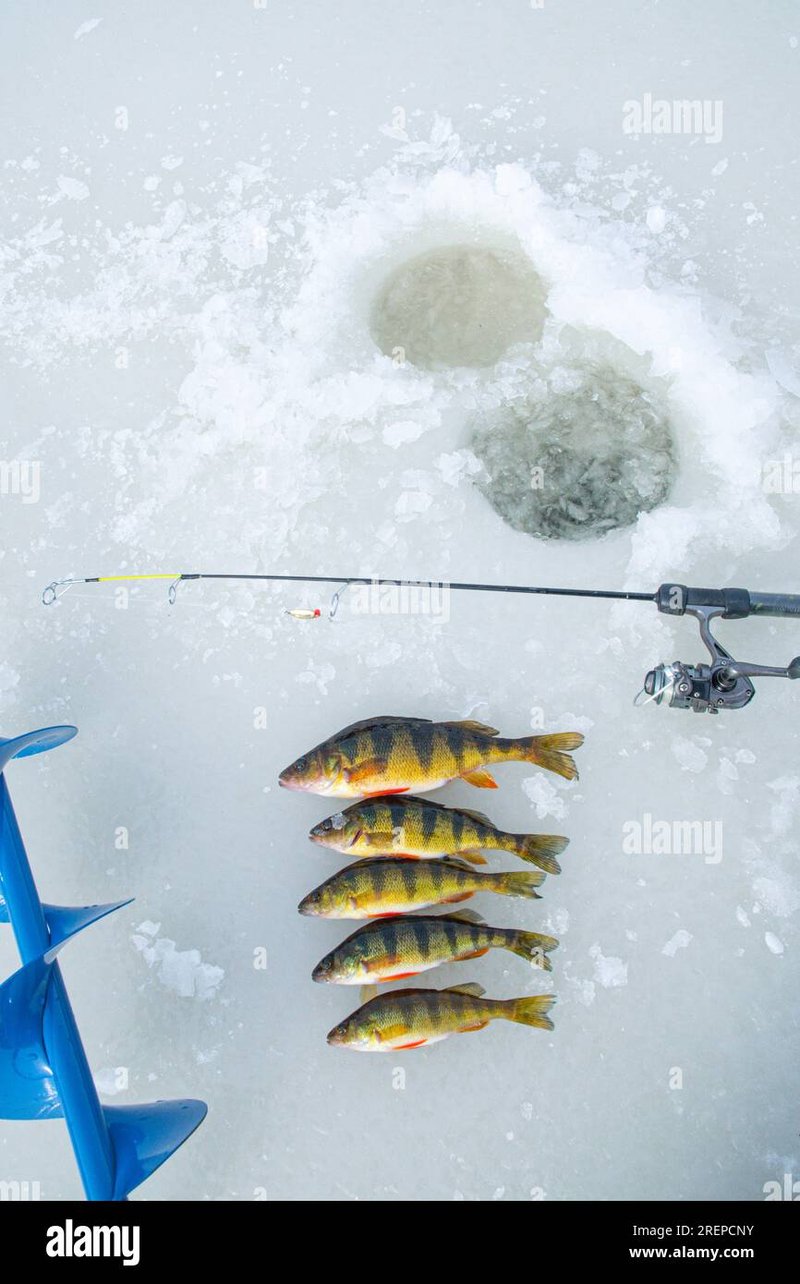 Image: Discover the Thrill of Ice Fishing Games in Online UK Casinos